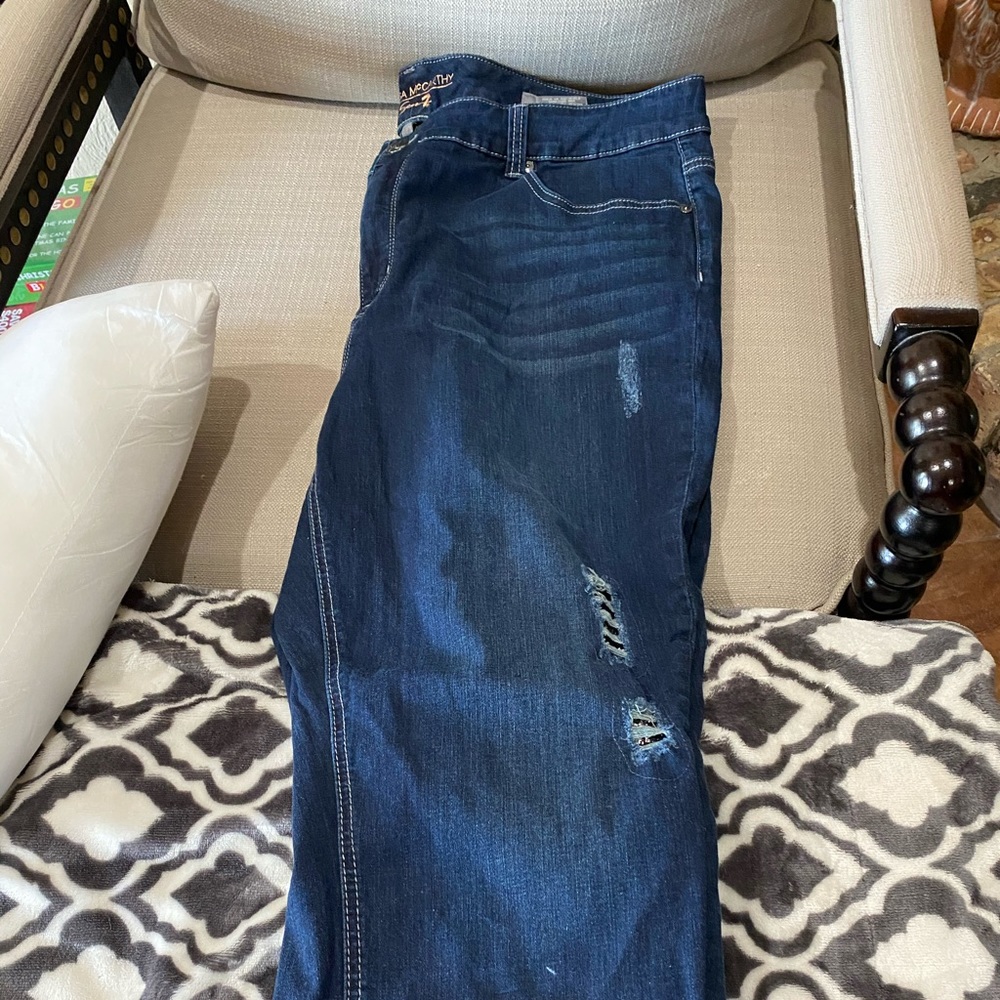Melissa Mccarthy Used 24w Blue Jeans Skinny W/Acce View 2